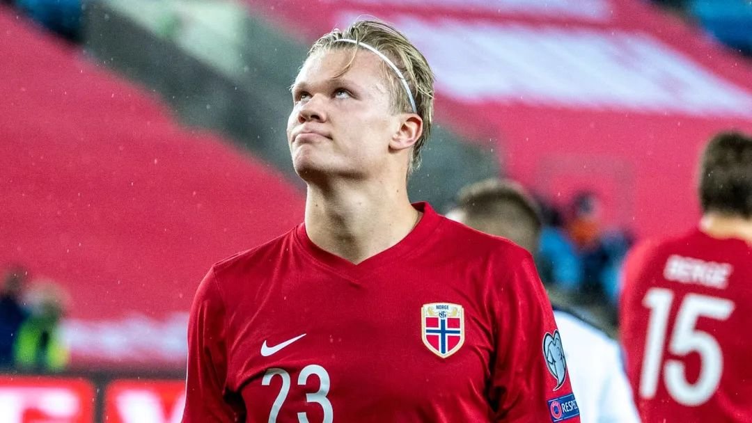 看着占优却 看着占优却